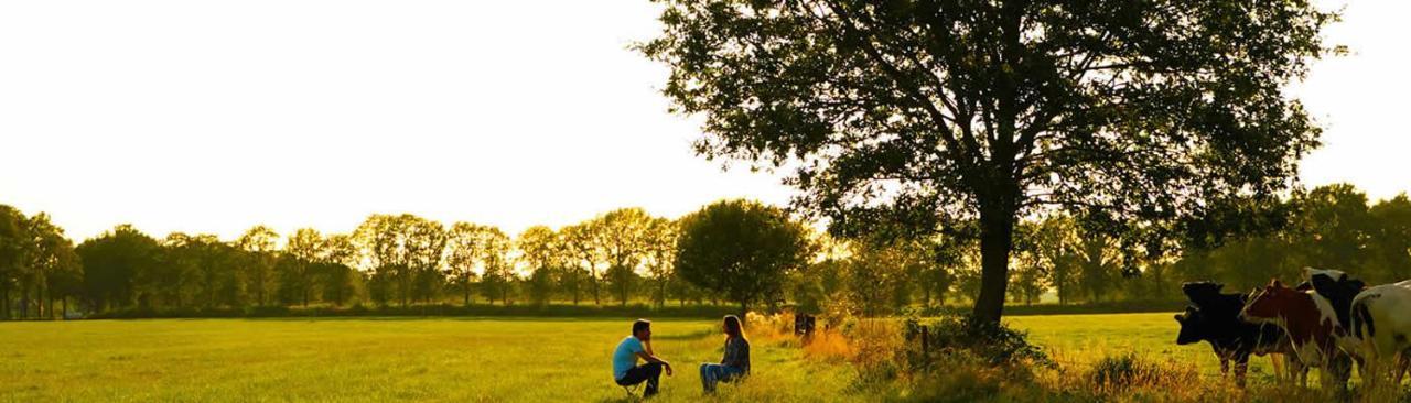 Vakantiewoning Dinkelhofje Met Gratis Linnen Denekamp Ngoại thất bức ảnh